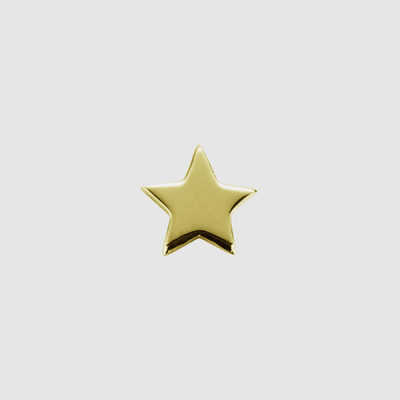 Stow Shining Star Gold Charm