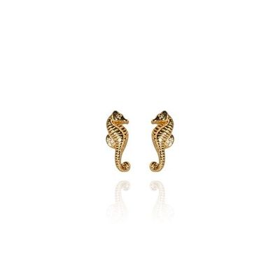 Evolve Mini Seahorse Studs Gold Plated