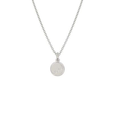 Evolve NZ Map Coin Necklace