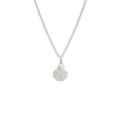 Evolve Seashell Necklace