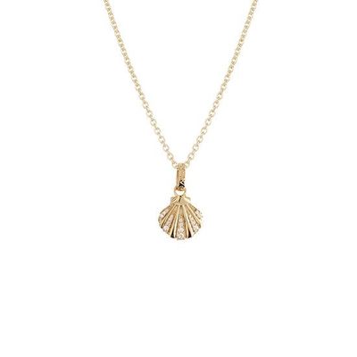 Evolve Seashell Necklace Gold Plated