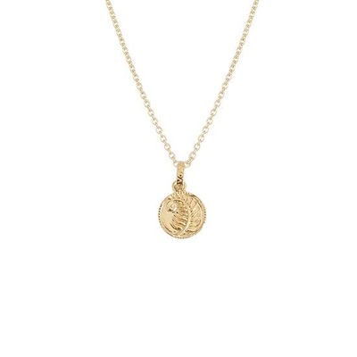 Evolve Fern Coin Necklace Gold Plated