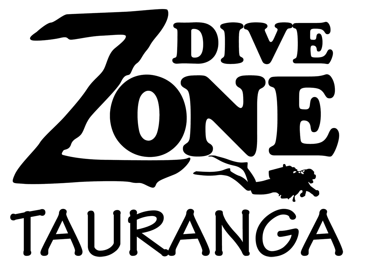 Dive Zone Tauranga Padi Open Water Diver