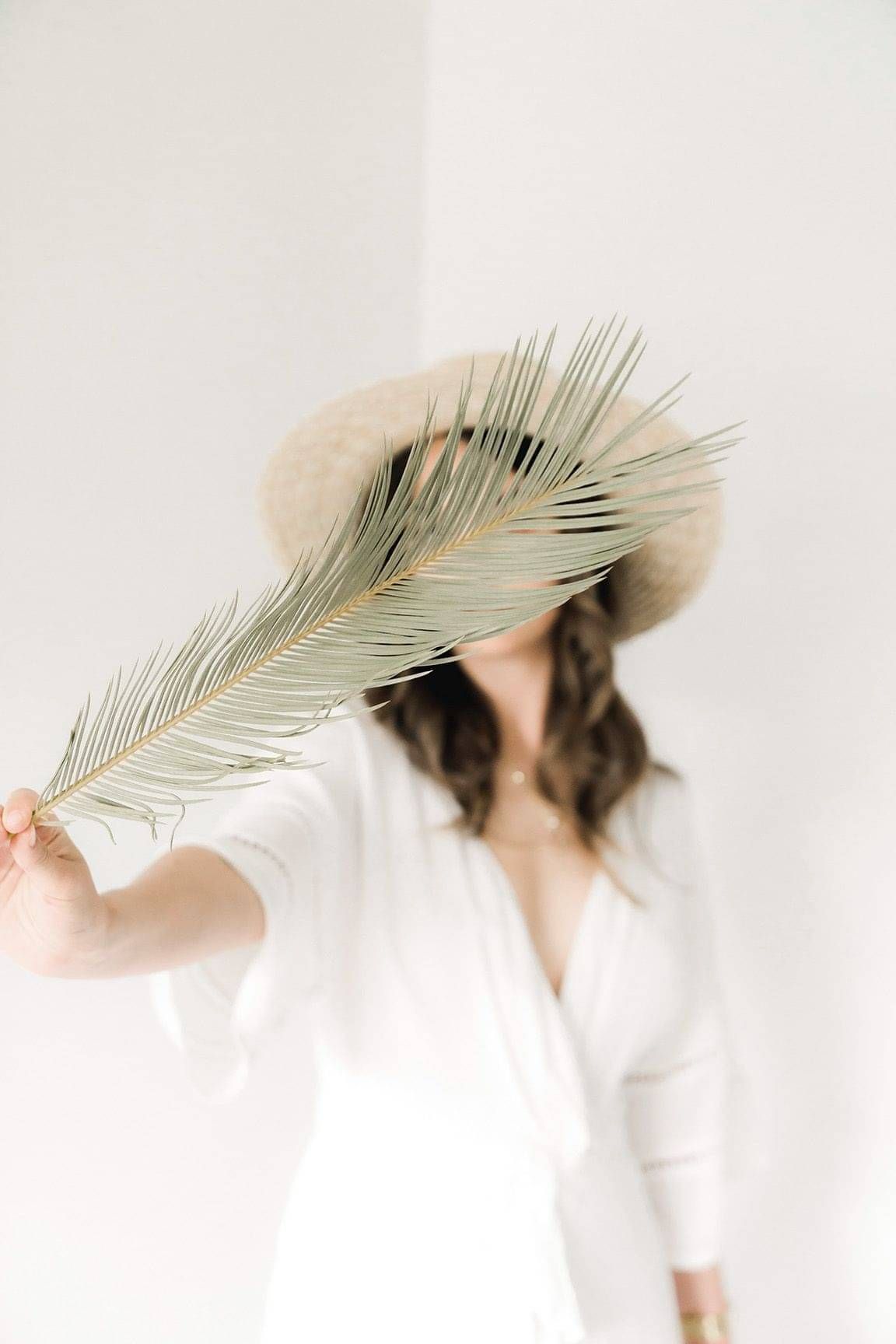 Holistic Facial Studio in Papamoa