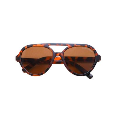 Aviator Sunglasses - Adult - Tortoise - SS24