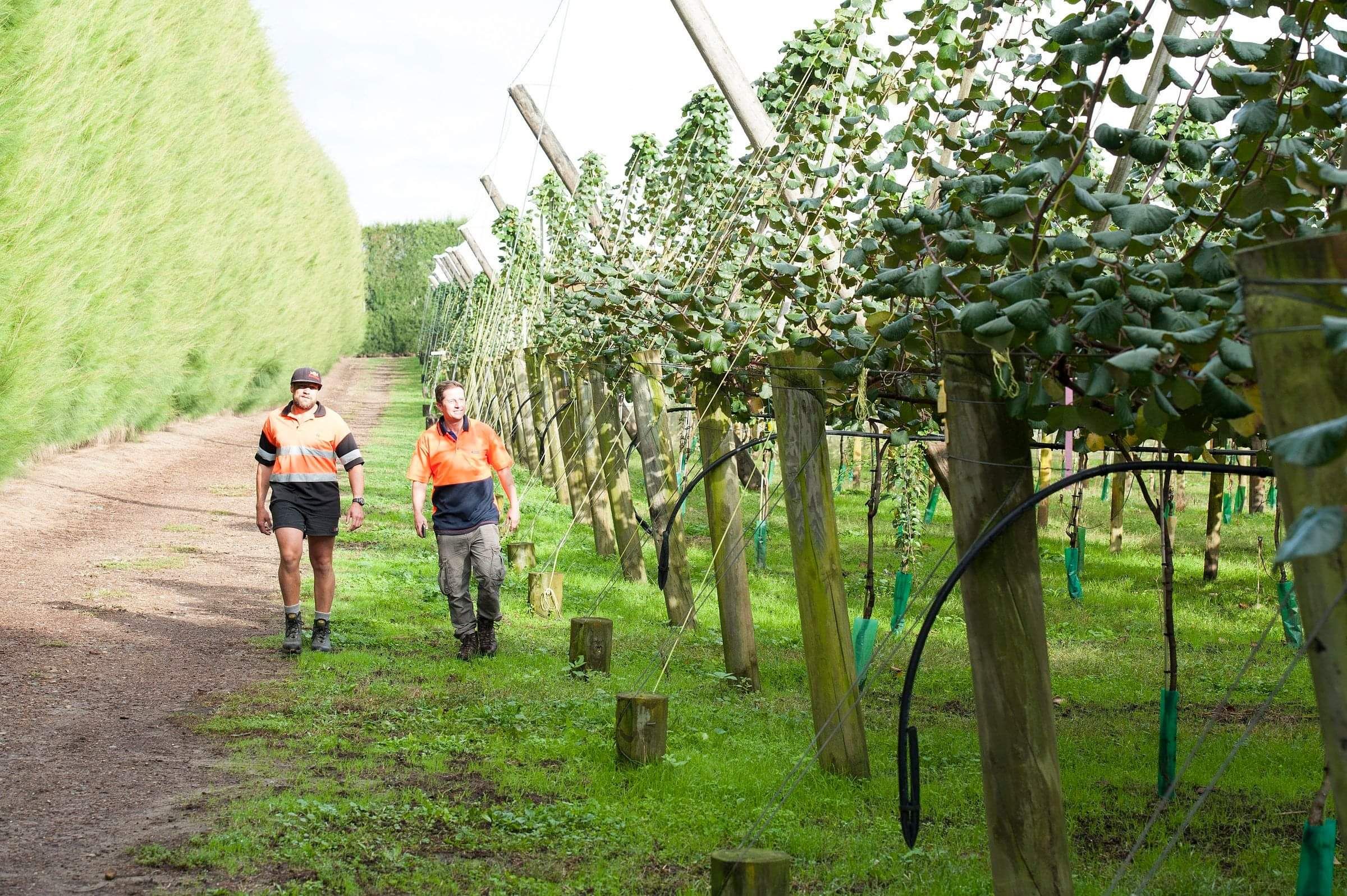 JH Baldwin  | Lichfield Lands | 3 Trusts Scholarships CCCNZ