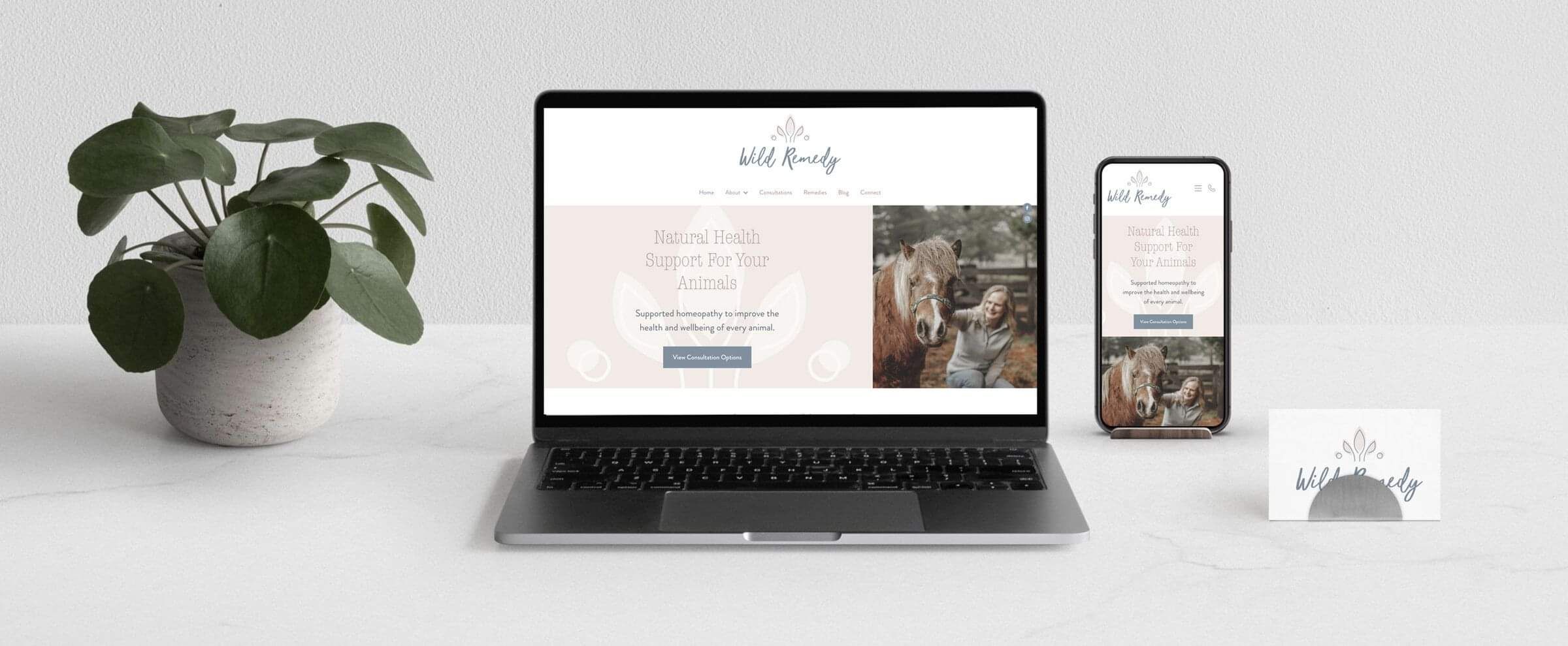 Wild Remedy Site Branding Suite – Website Design and Build – Deignerbloom Graphic Design – Wellington