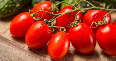 Heirloom Tomato: Roma