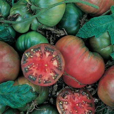 Heirloom Tomato: Black Krim