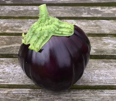 Heirloom Aubergine (Eggplant): Black Beauty