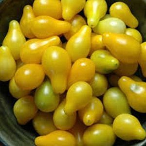 Heirloom Tomato: Yellow Pear