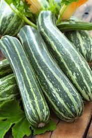 Heirloom Zucchini - Dario (Pre-order for 28th October 2024)