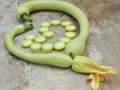 Heirloom Zucchini: Rampicante (Pre-order for the 28th October 2024)