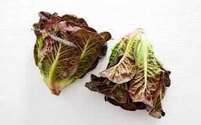 Heirloom Lettuce: Red Gem