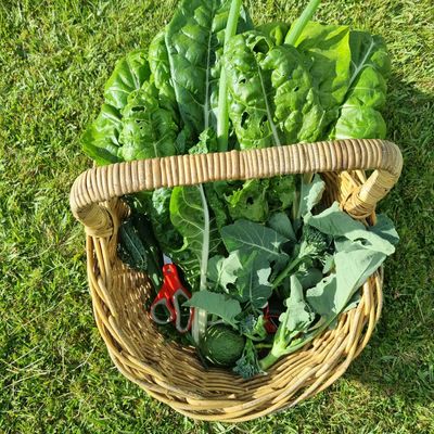 Vintage Wicker Harvest Basket