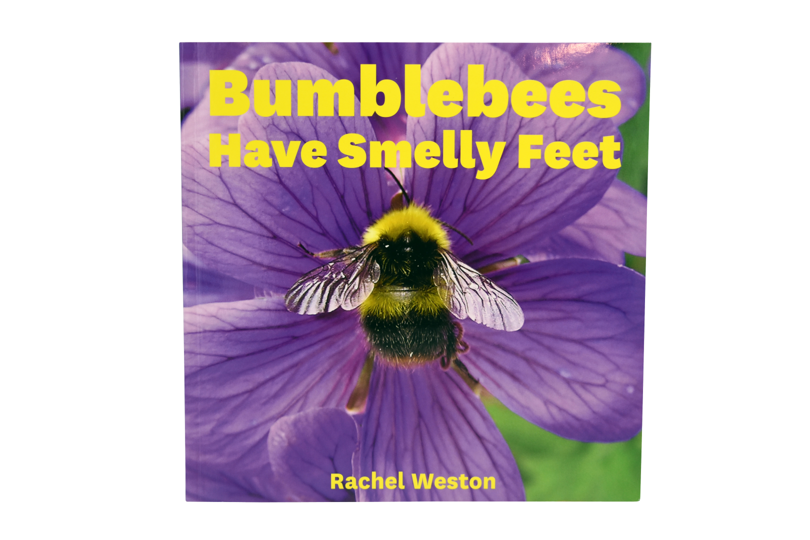 Bumble Bees Have Smelly Feet Book