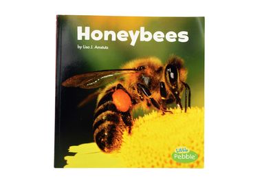 Honeybees (Little Critters) by Lisa J Amstutz