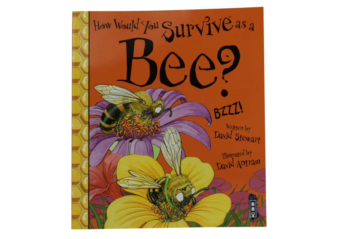 How Would You Survive As A Bee?