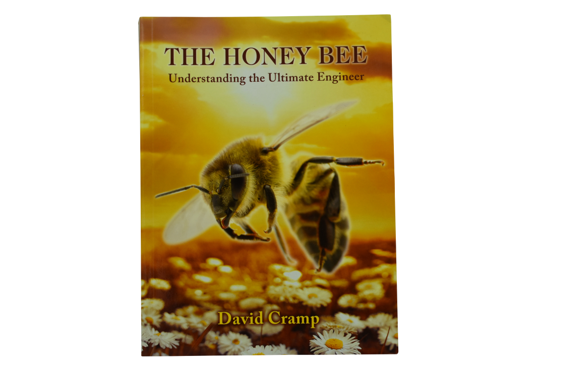 The Honey Bee - Understanding the Ultimate Engineer