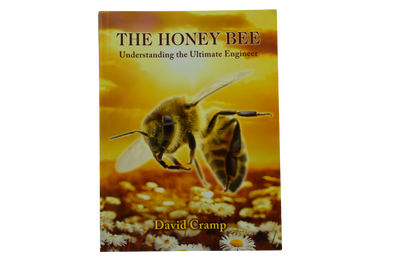 The Honey Bee - Understanding the Ultimate Engineer