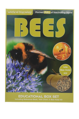 Bees Educational Box Set