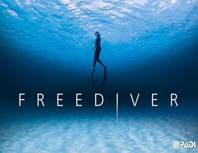PADI Freediver &amp; Basic Freediver Courses