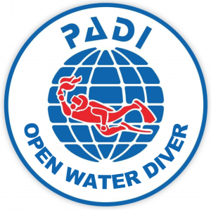 PADI Open Water Diver Private Lesson (Guaranteed 1on1)