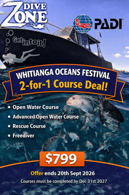 2 FOR 1 PADI COURSES
