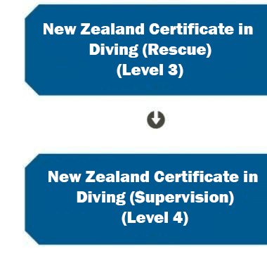 Dive Certificates
