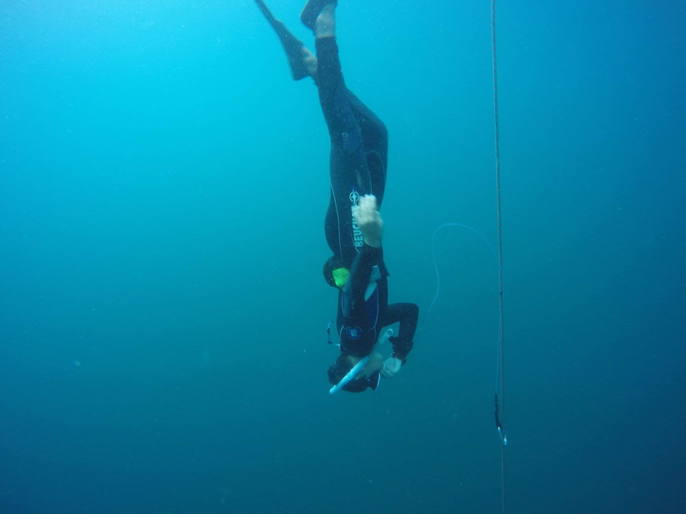 Freedive Training