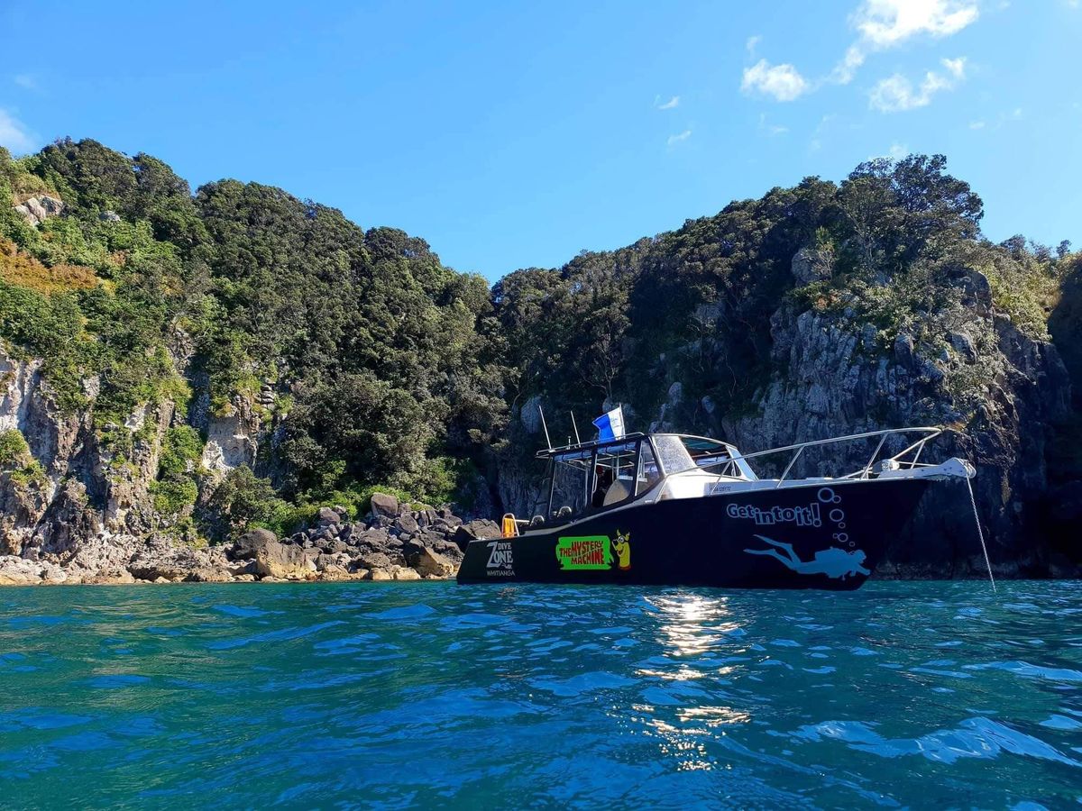 (c) Divezonewhitianga.co.nz