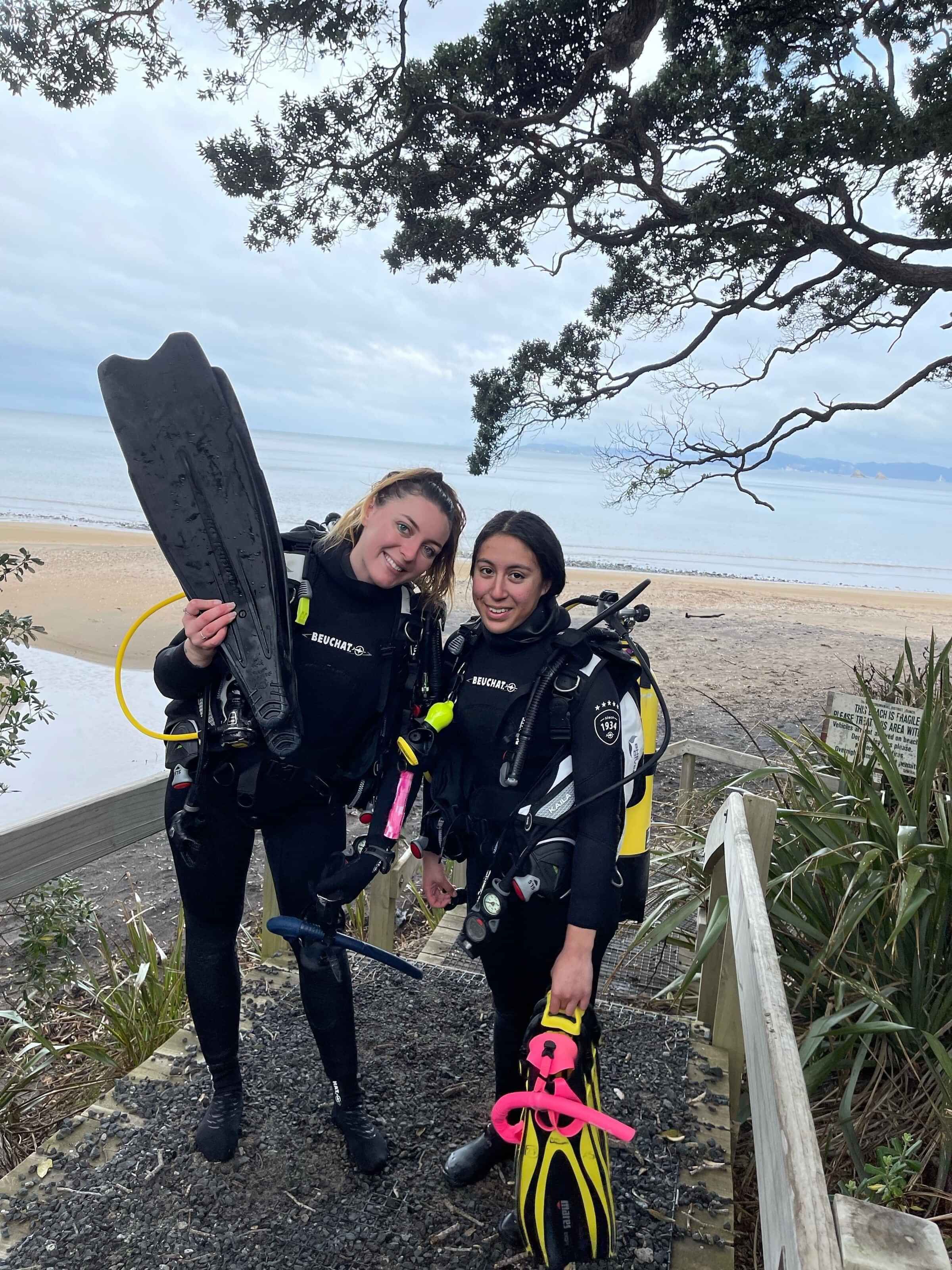 Experienced Dive Instructors to teach you