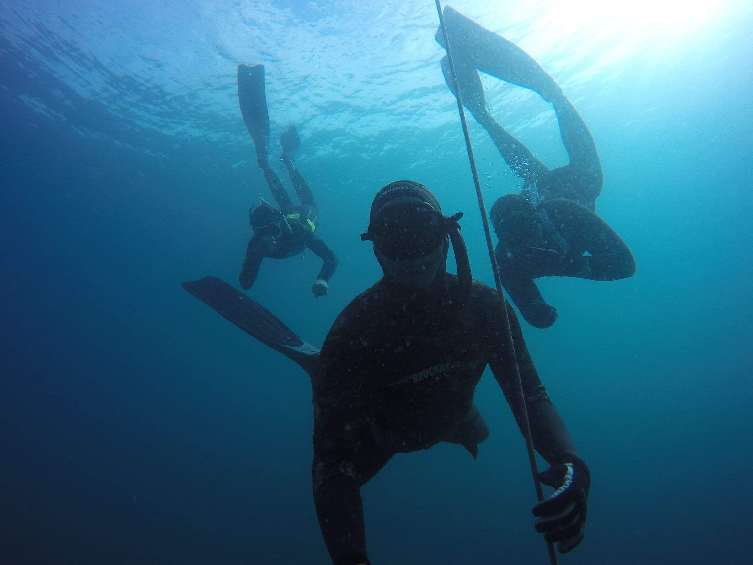 Freedive Training at Dive Zone Whitianga
