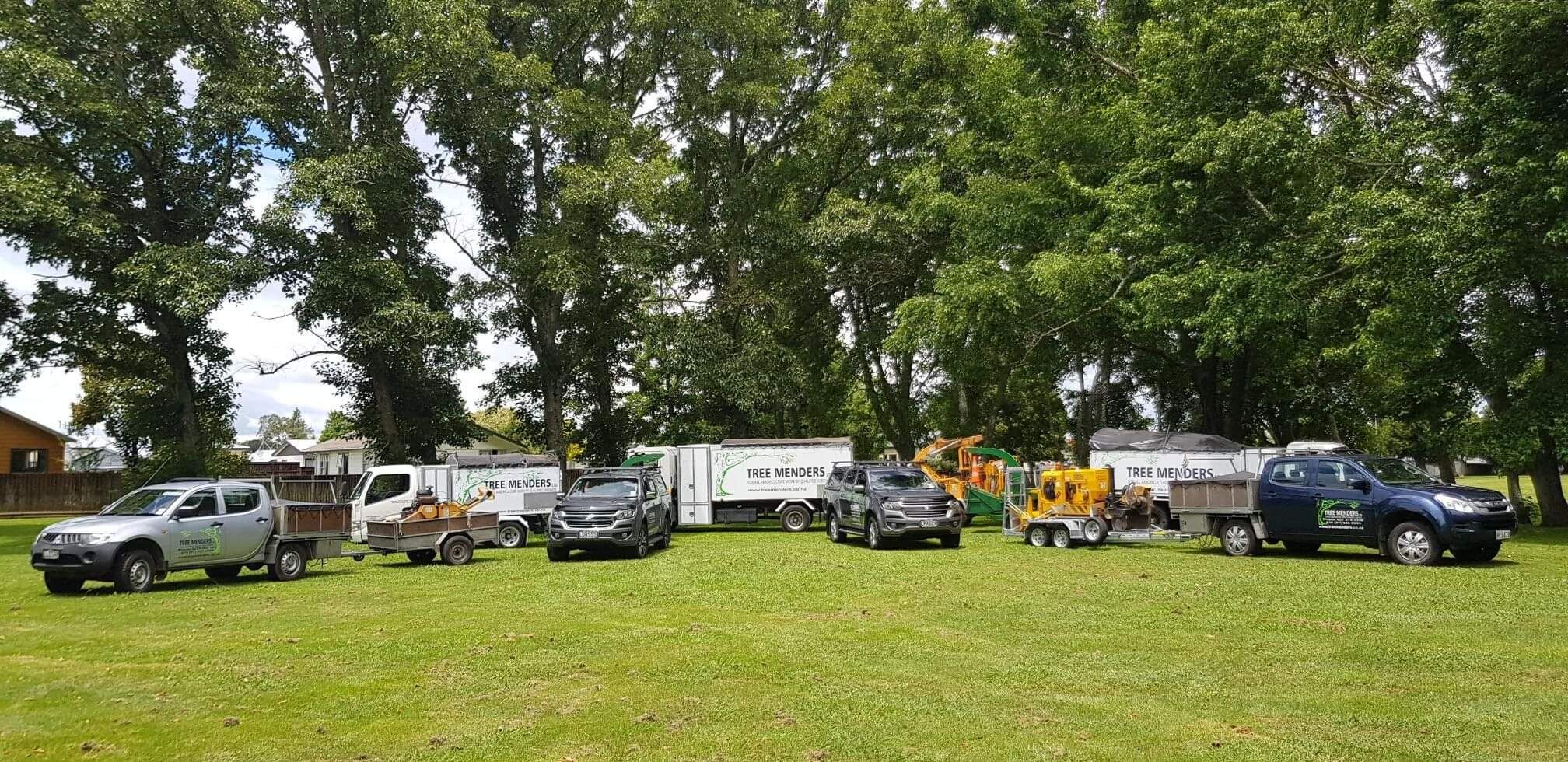 Tree Menders Hamilton Fleet