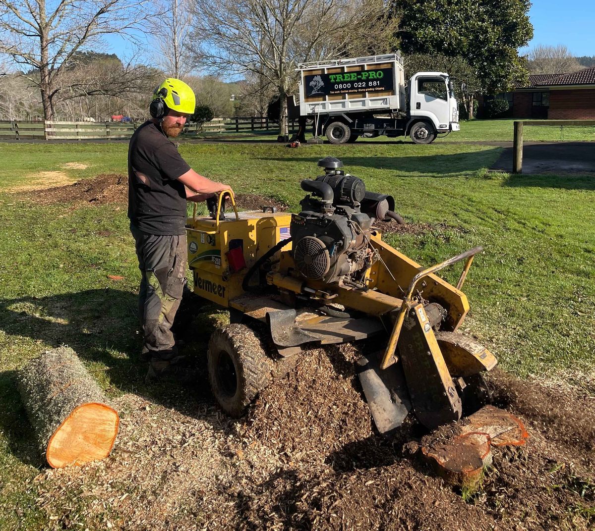 Tree Pru Tree Removal & Maintenance | Tree Pro Services Auckland | Tree Pro