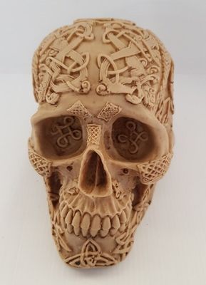 Resin Skull - Bone