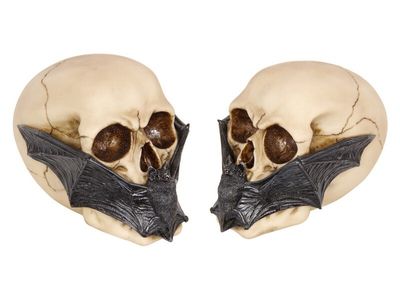 Skull with Bat Mask