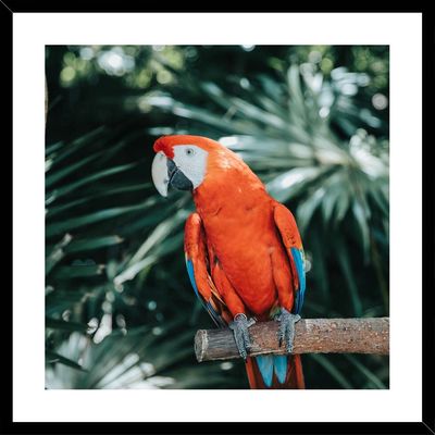 Glass Portrait - Red Parrot