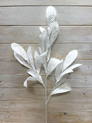 Artificial Dusty Laurel Leaf - Assorted