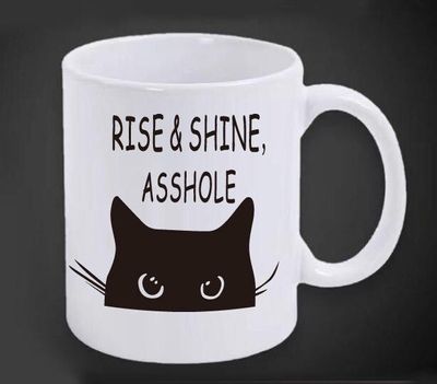 Mug- Rise And Shine Asshole