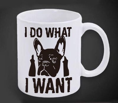 Mug- I Do What I Want