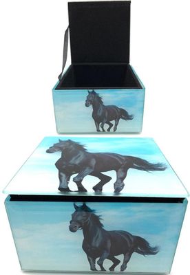Glass Box- Black  Horse