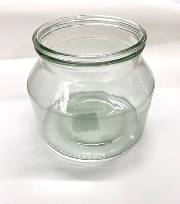 Small Glass Dome Vase