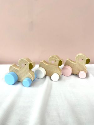 Wooden Duck Push Toy - Assorted