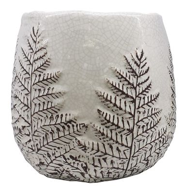 Pot with Fern - Assorted