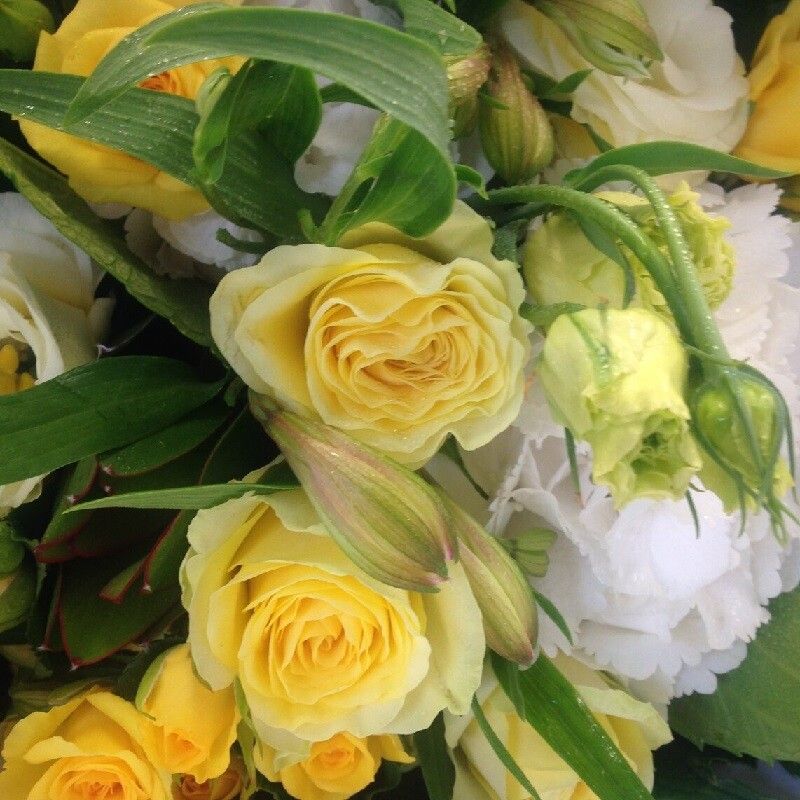 Fresh Flower Delivery Orewa, Silverdale, Flowers by Joanne