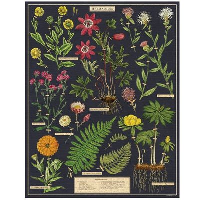 Cavallini &amp; Co Vintage Puzzle - Herbarium 1000 Pce