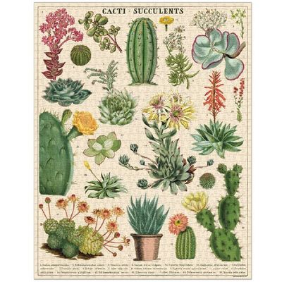 Cavallini &amp; Co Vintage Puzzle - Cacti &amp; Succulents 1000 Pce