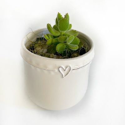 Succulent Heart Pot