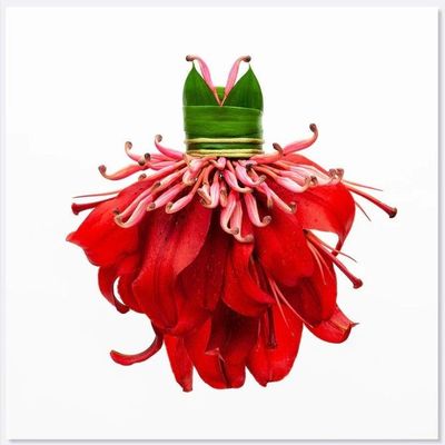 Greeting Card - Red Lily Petal Dress